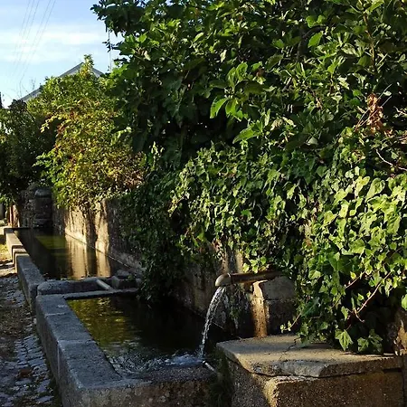 Tauria- Em Aldeia Medieval فيلة