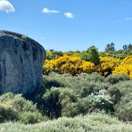 فيلة Tauria- Em Aldeia Medieval *