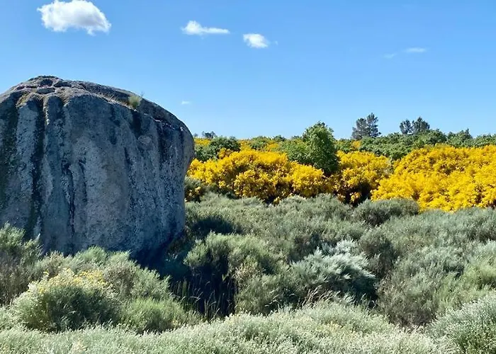 ヴィラ Tauria- Em Aldeia Medieval *